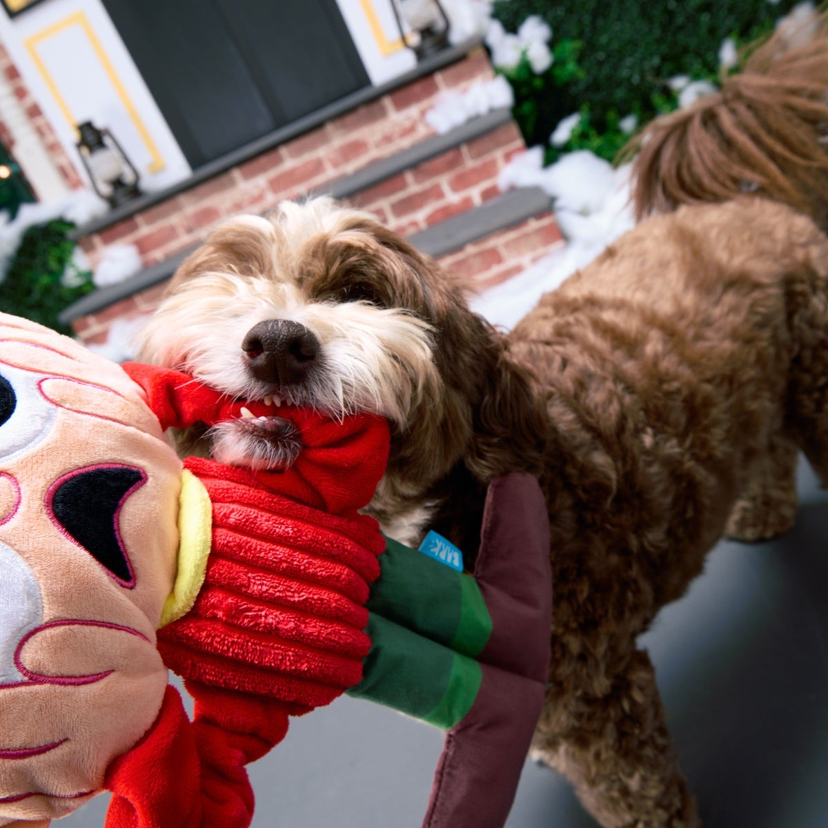 Screamin' Kevin Plush Extra-Large + Tug Dog Toy