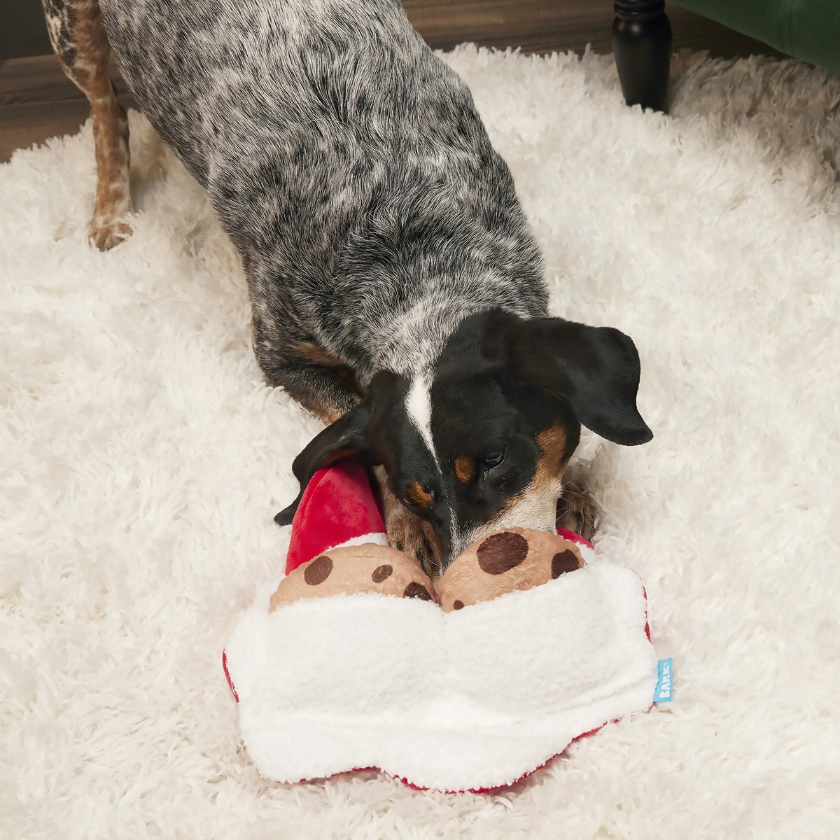 Kris Krumble Plush Enrichment + Multi-Part Dog Toy