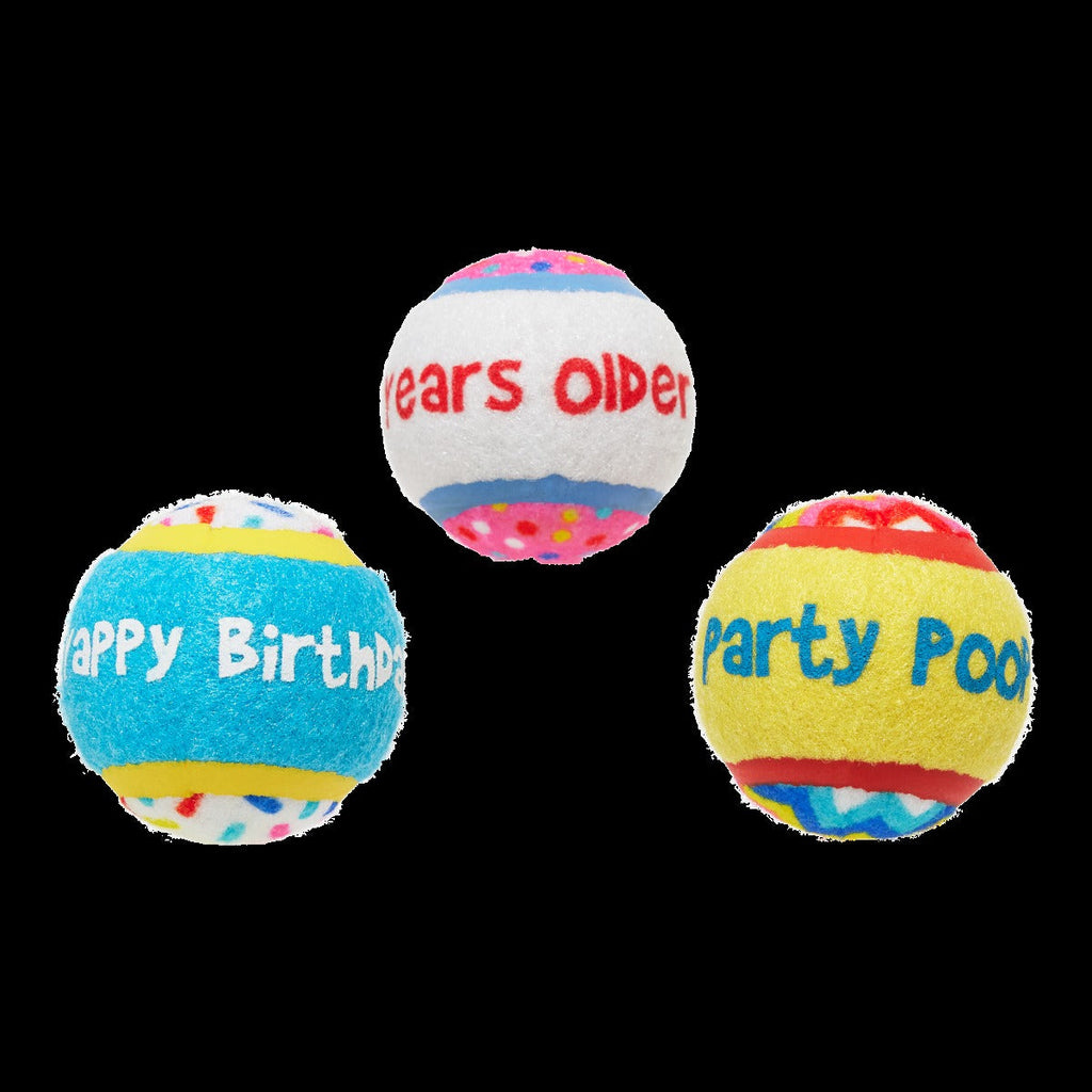 Party Fetchers Plush Multi-Part Fetch Dog Toy