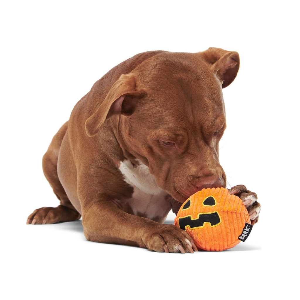 The Grrreat Pumpkin Super Chewer Durable 2-in-1 + Enrichment Dog Toy