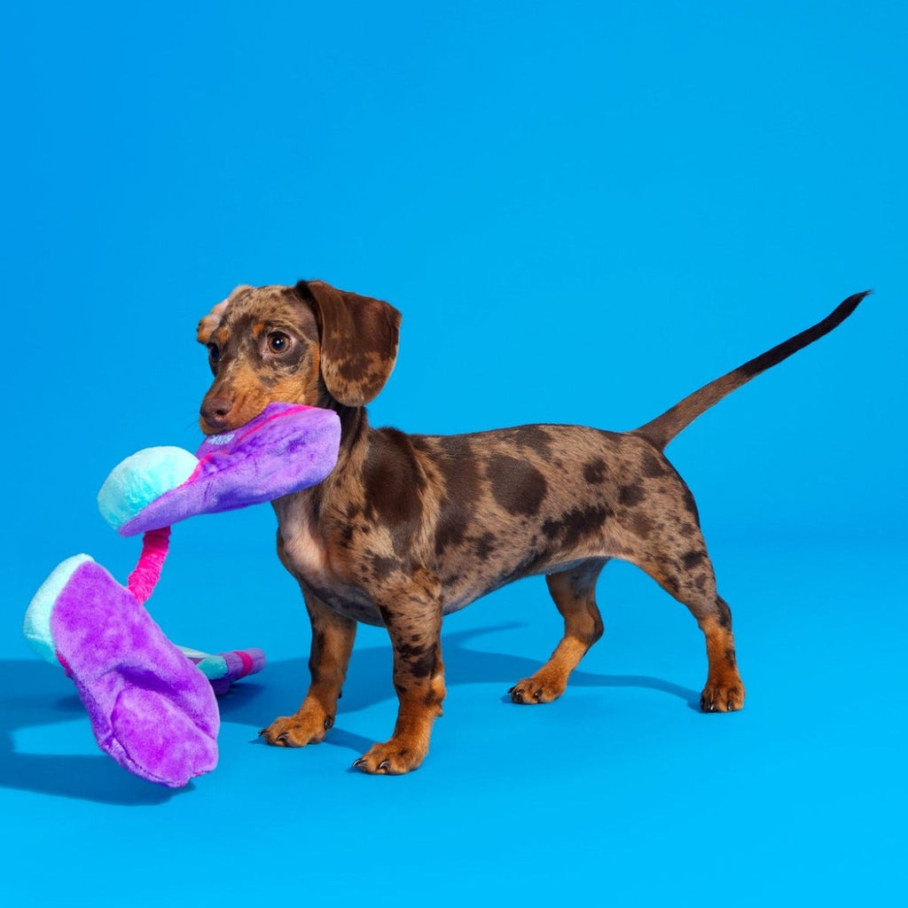 Snork N Bork Plush Multi-Part + Tug Dog Toy