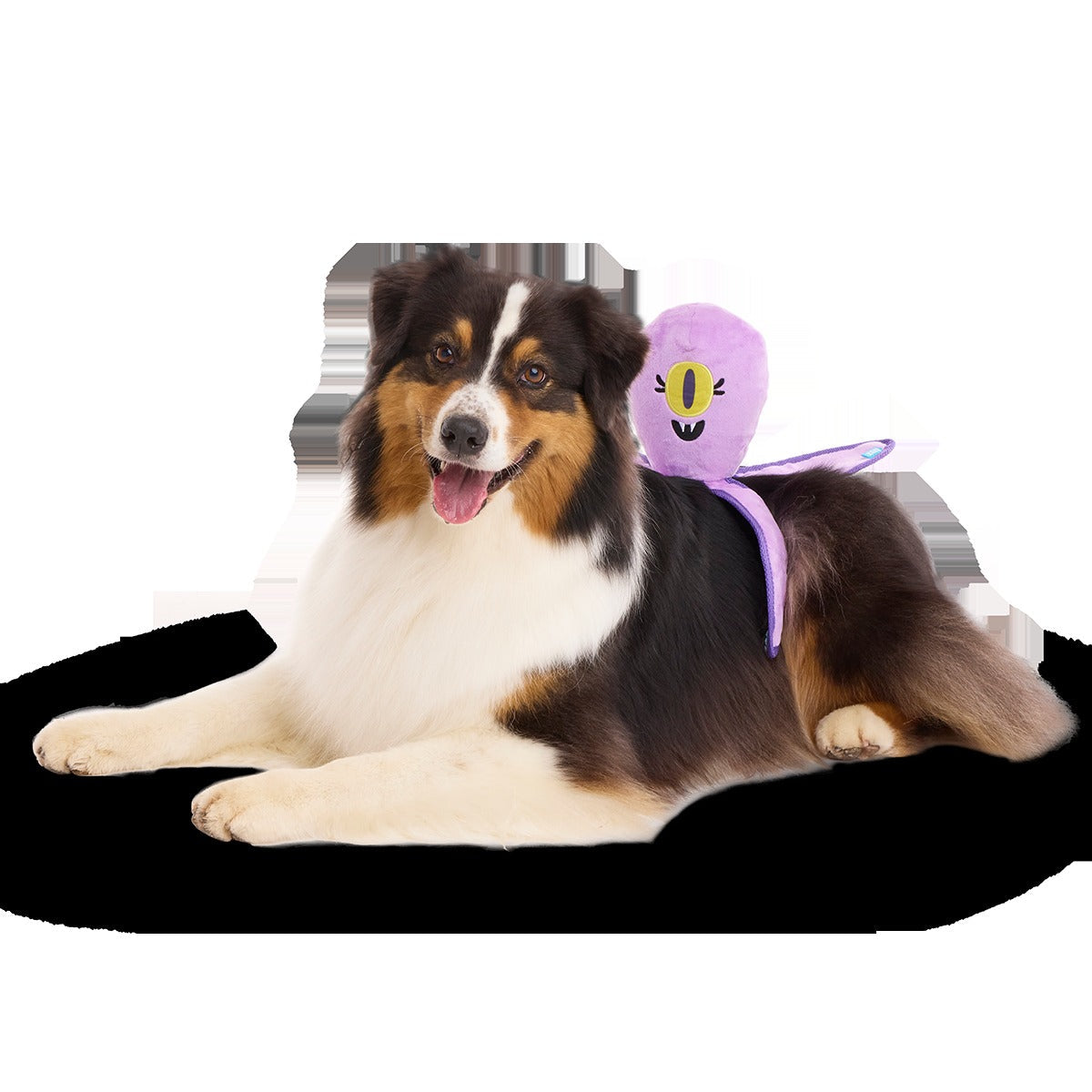 U.F.Ollie Plush Extra-Large + Tug Dog Toy