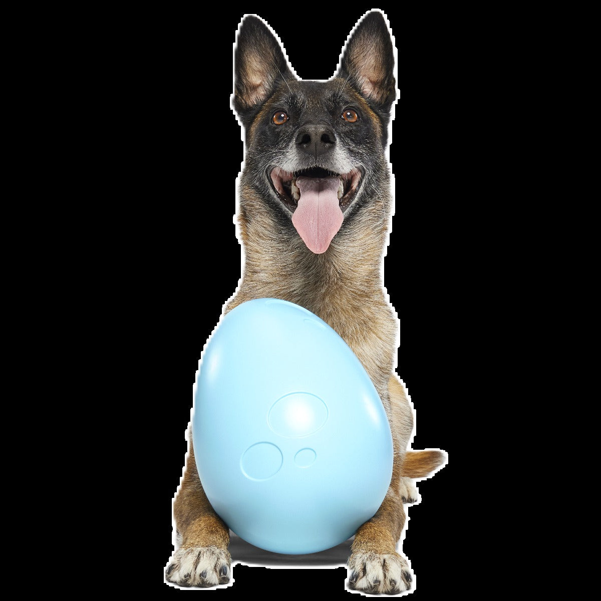 Eggstra Large Easter Egg Super Chewer Durable Extra-Large + Fetch Dog Toy