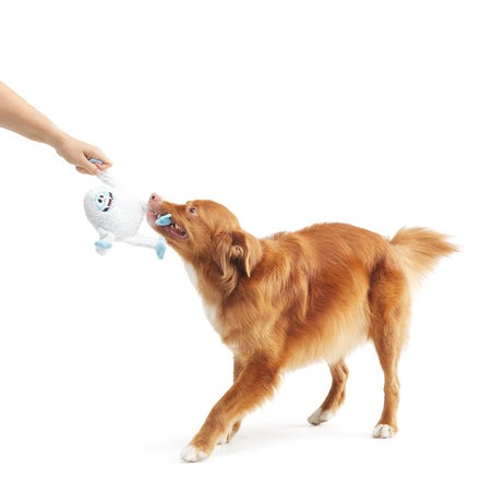 BumbleTM Plush Tug Dog Toy