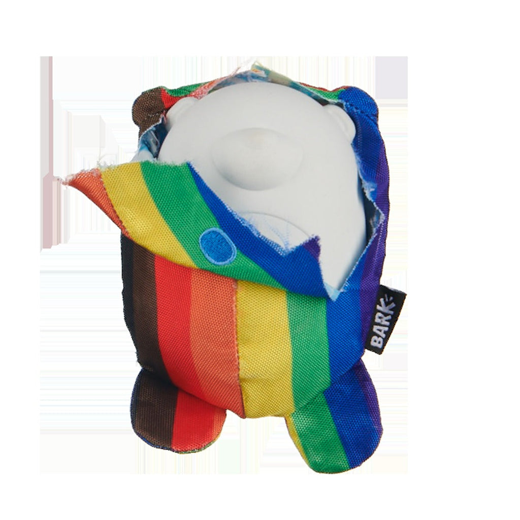 Some Bear Over The Rainbow Super Chewer Durable 2-in-1 Dog Toy