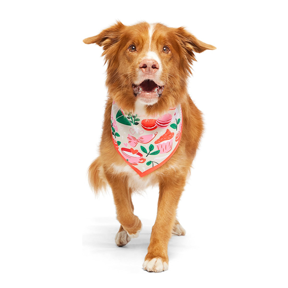 Valentine's Day Dog Bandana