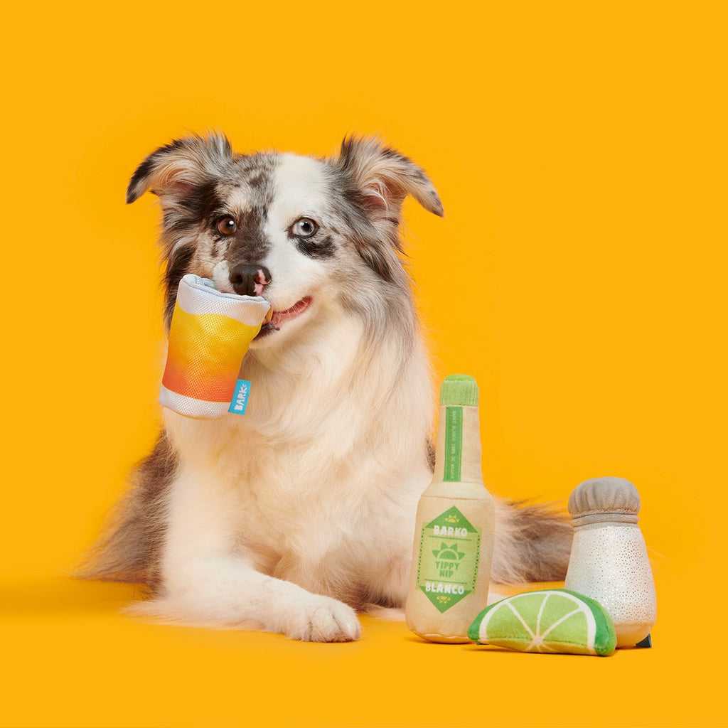 One Tugquila, Chew Tugquila Plush Multi-Part Dog Toy