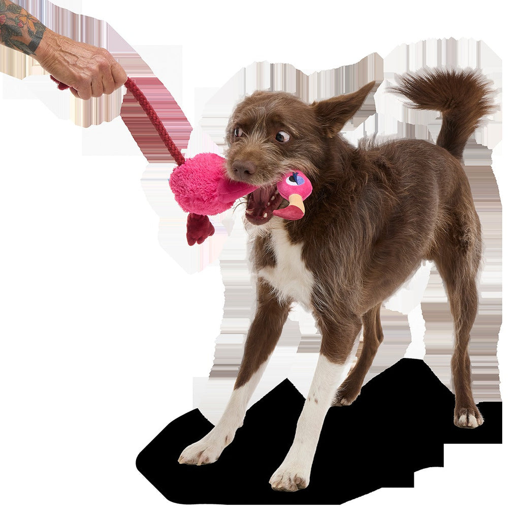 Fahari Flamingo Plush Extra-Large + Tug Dog Toy