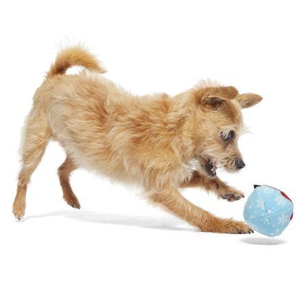 Wripping Pupper Ball Durable Super Chewer 2-in-1 Rip and Reveal Dog Toy