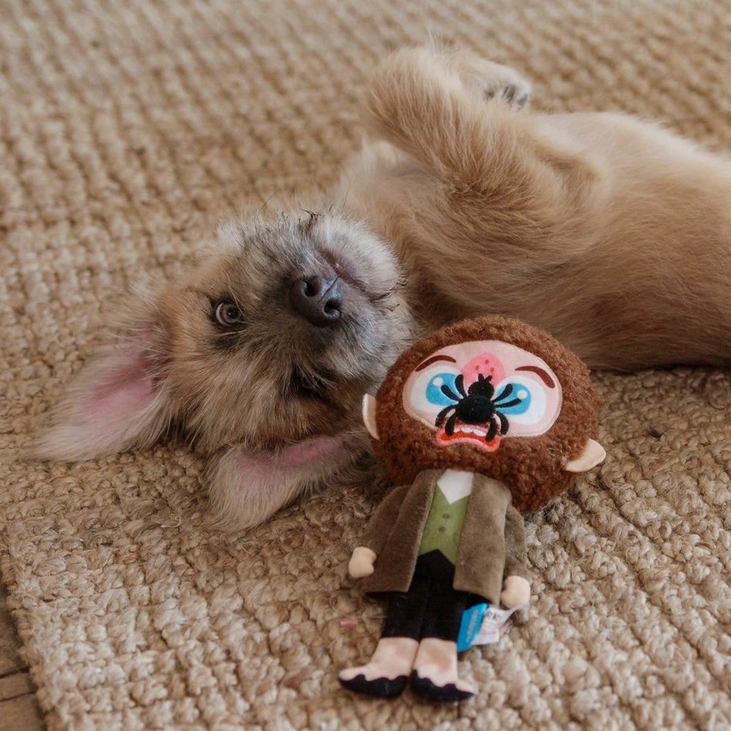 Marv Plush Tug Dog Toy