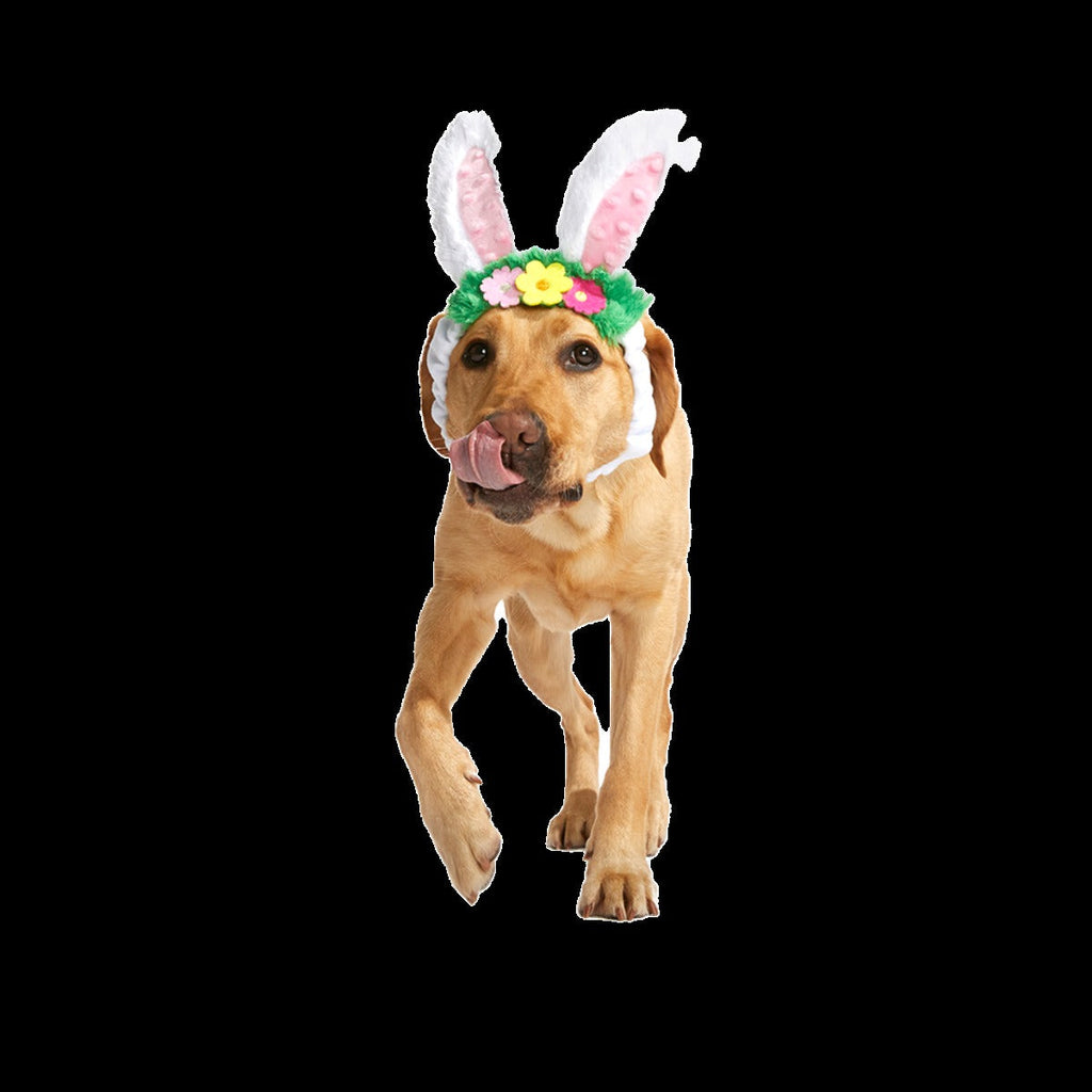 Hare Club Plush Wearable Dog Toy