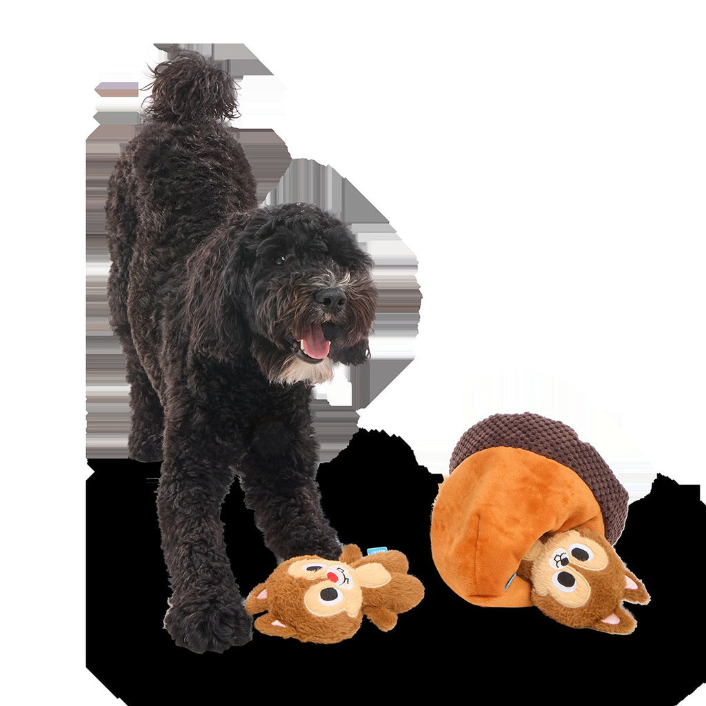 Chip 'N Dale in a Nutshell Plush Multi-Part + Enrichment Dog Toy