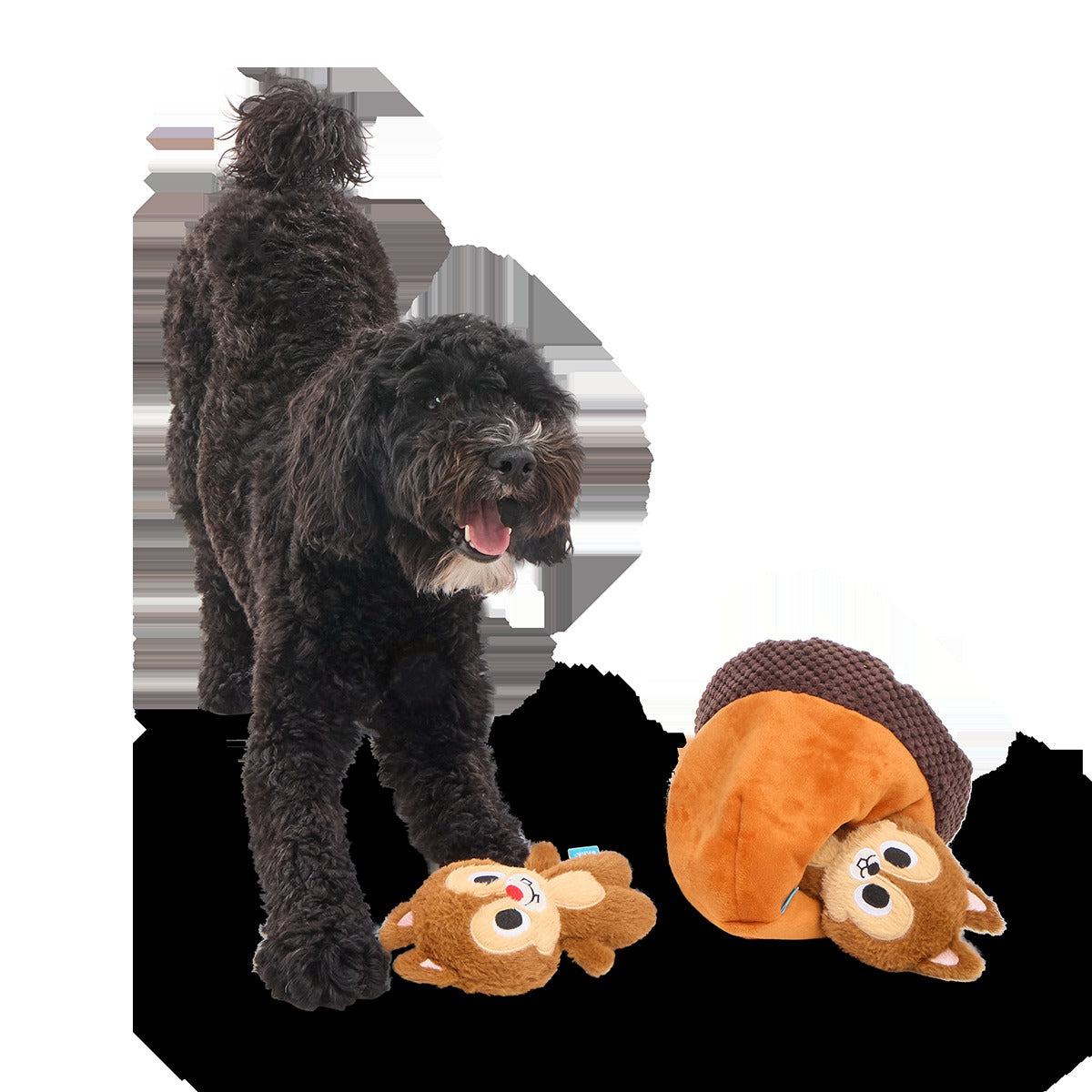 Chip 'N Dale in a Nutshell Plush Multi-Part + Enrichment Dog Toy