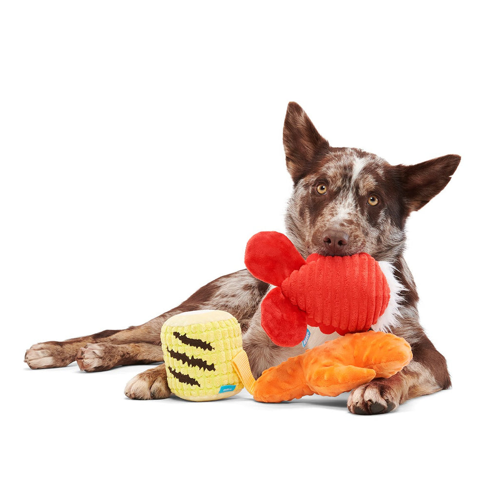 The Maine Event Plush Multi-Part Dog Toy