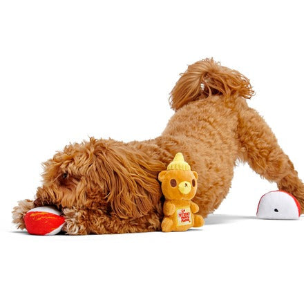 Squeaky New Year Bundle Plush Multi-Part Dog Toy