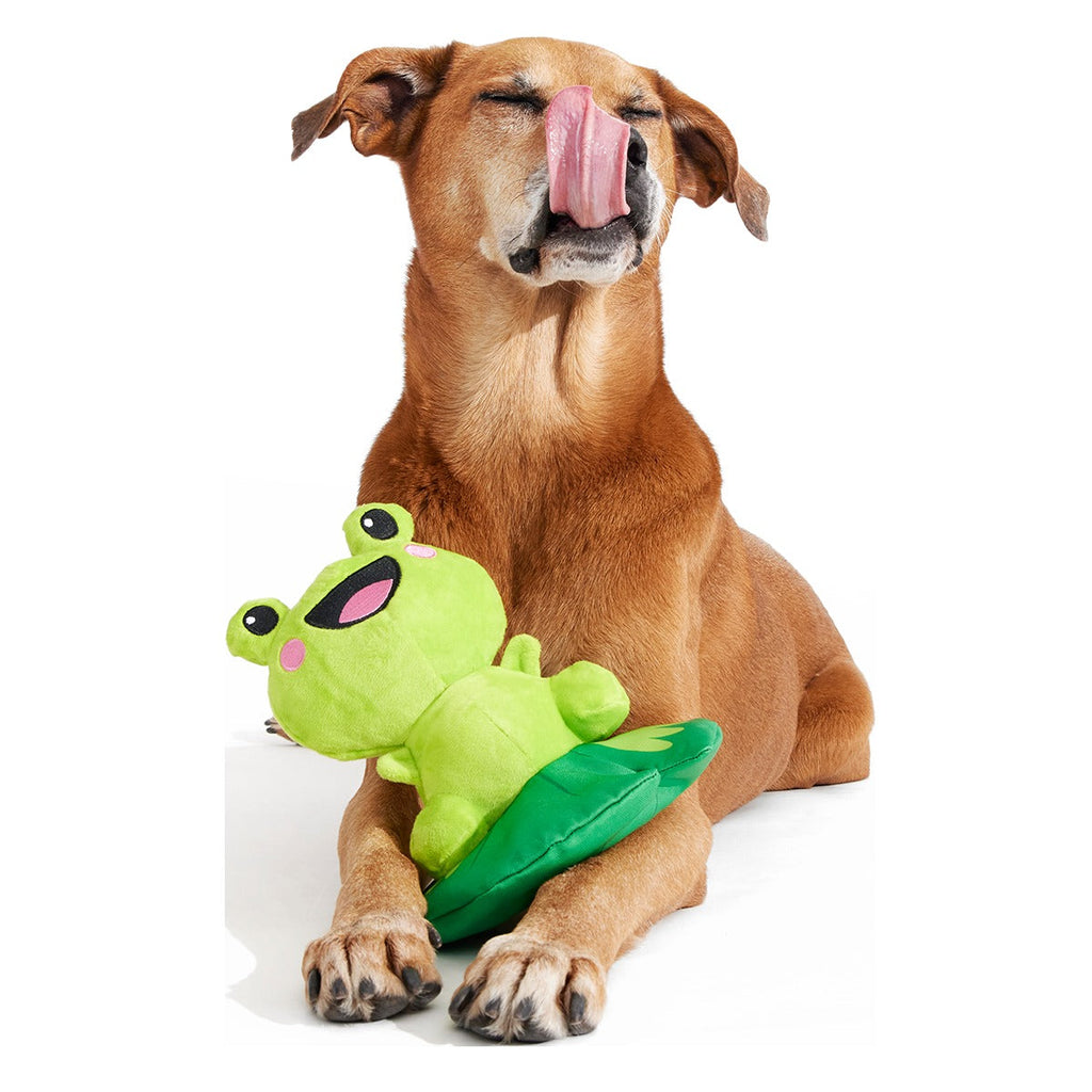 Lily Pal Plush Tug Dog Toy
