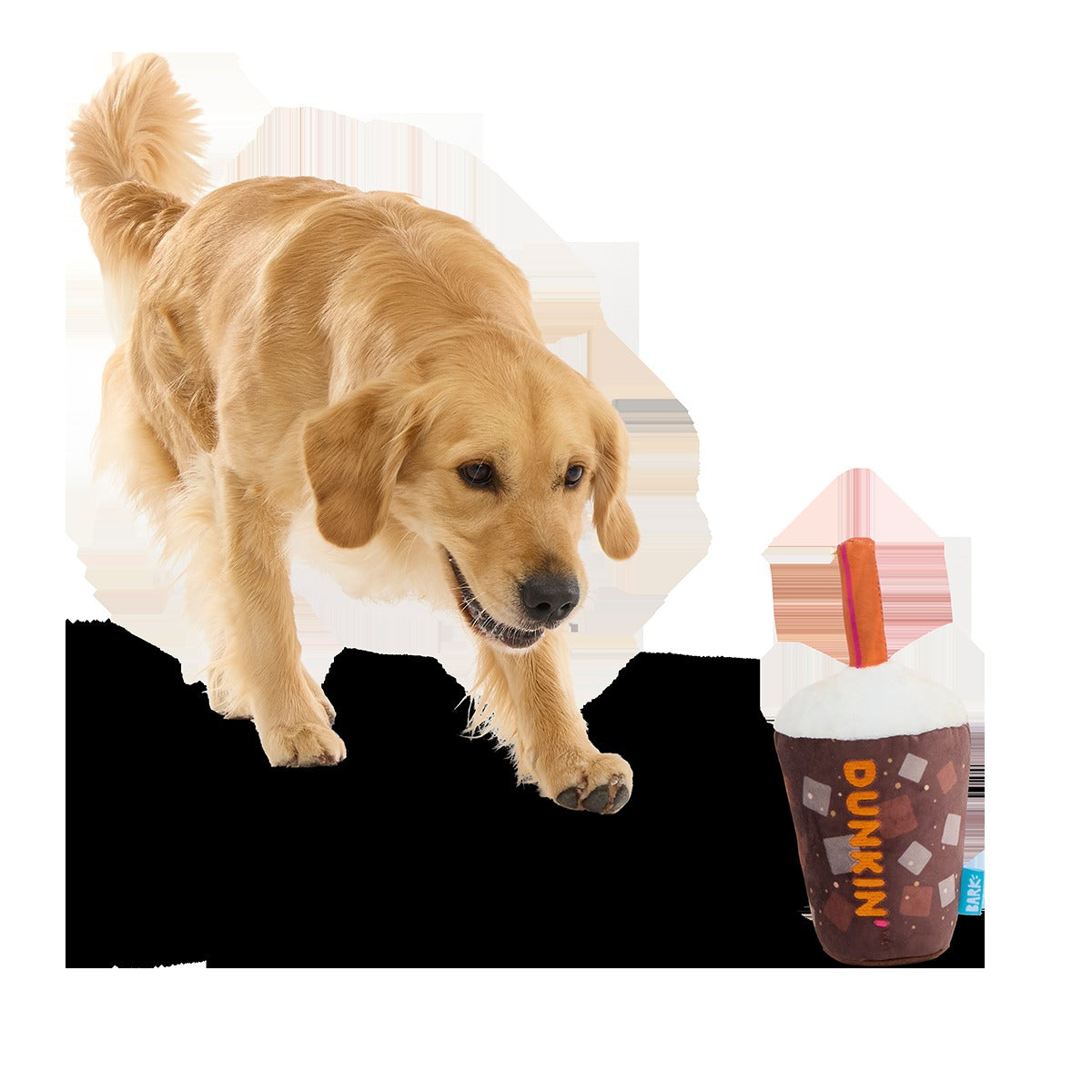 Dunkin'® Cold Brew Plush Tug Dog Toy