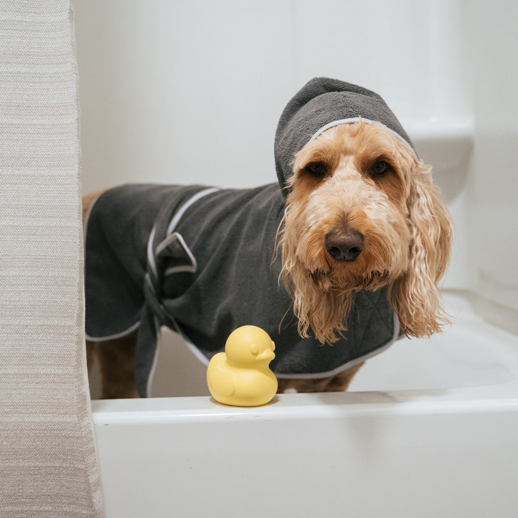 Robe & Duckie Bundle