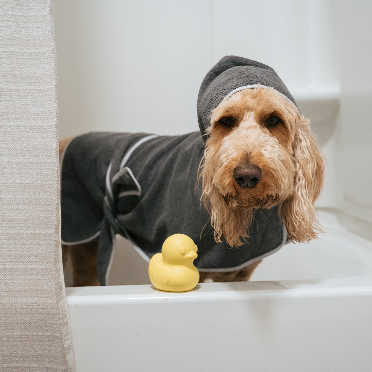 Robe & Duckie Bundle