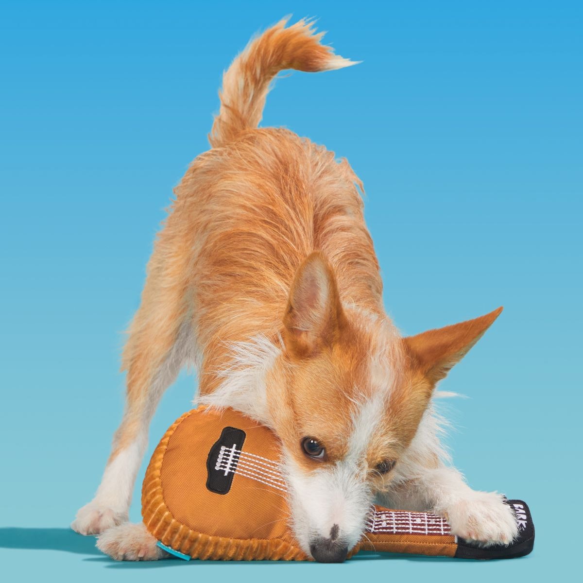 Awoo-stic Guitar Plush Tug Dog Toy