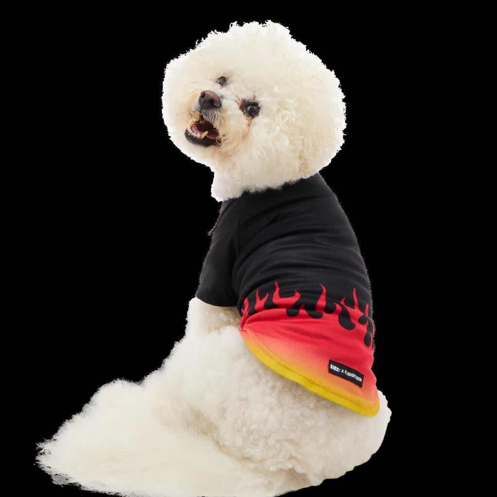 Flame Broiled Button-Down Dog Shirt