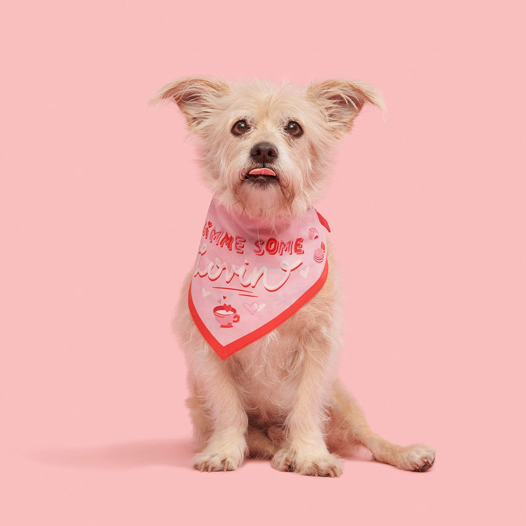 Valentine's Day Dog Bandana