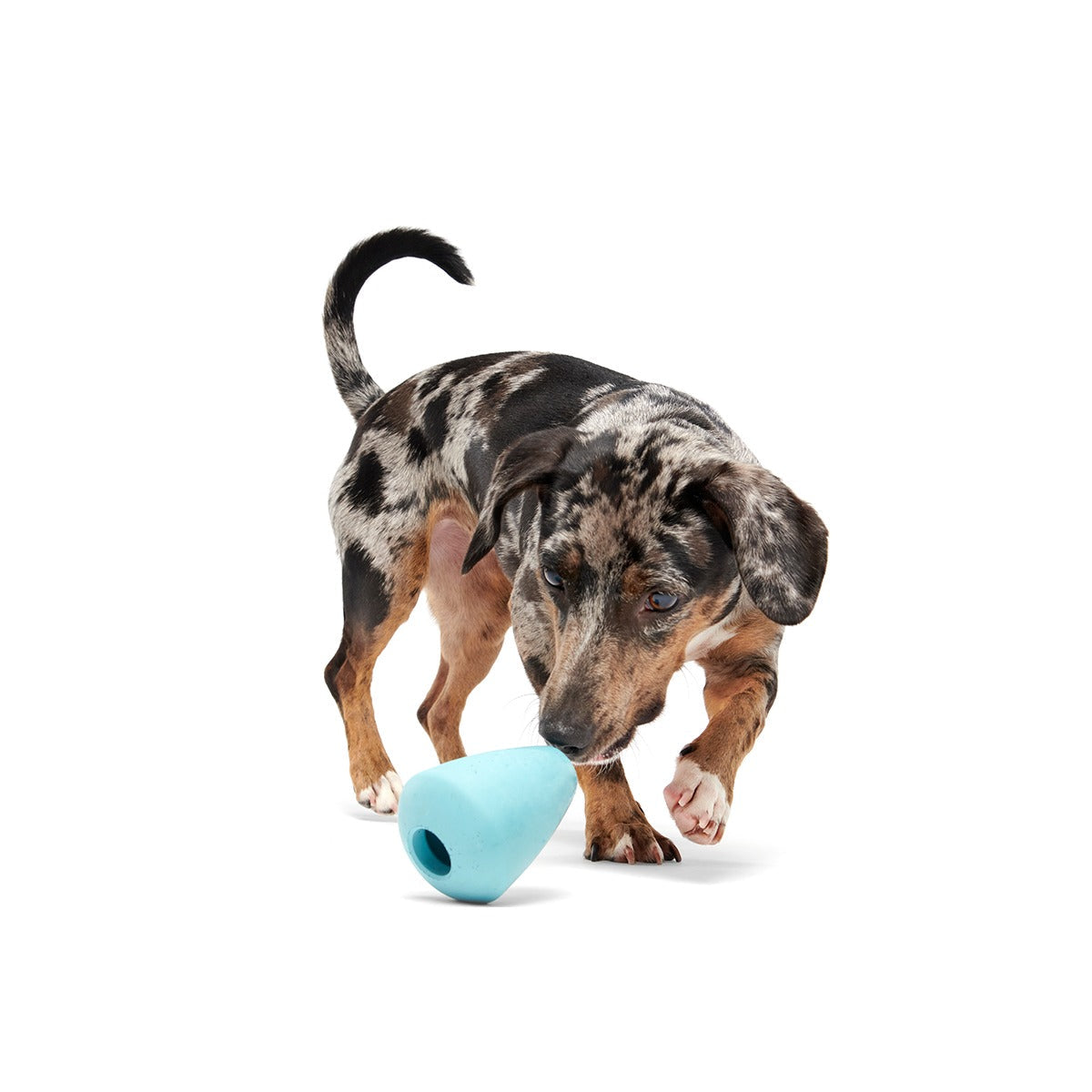 Titan Super Chewer Durable Enrichment Dog Toy