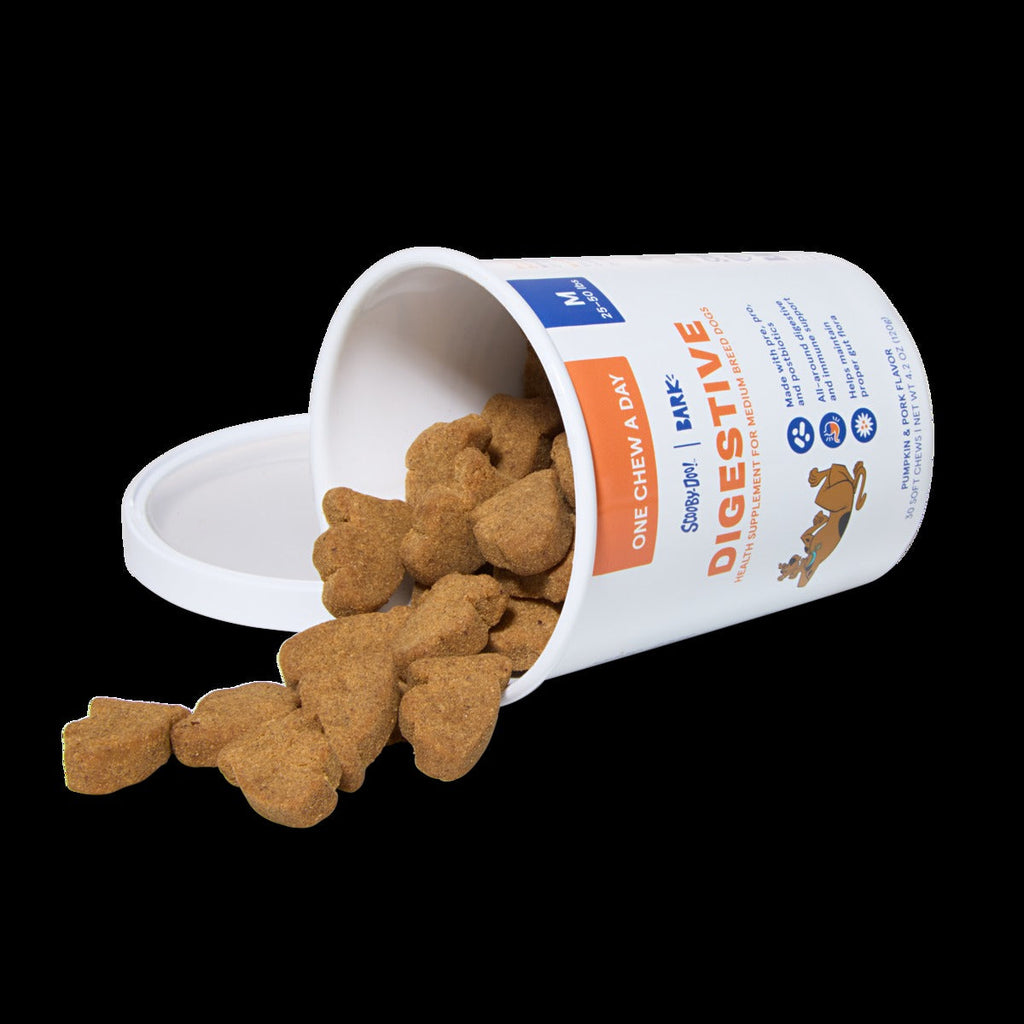 Scooby-DooTM Digestive Dog Treat Supplements, 30 Ct
