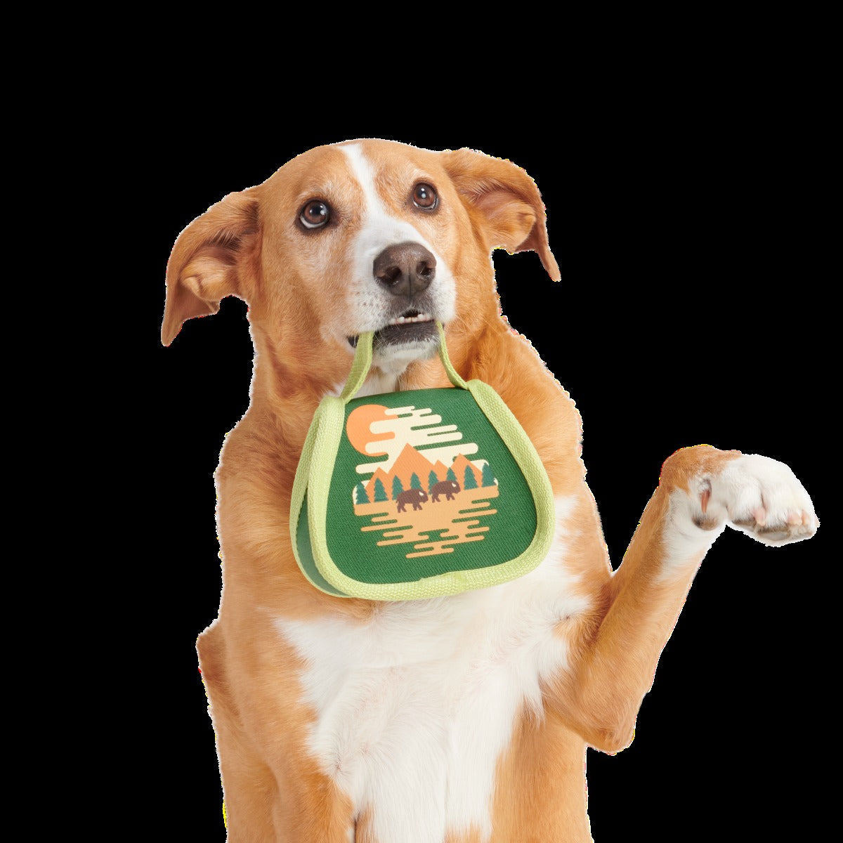 Parks Tuffel Bag Super Chewer Durable 2-in-1 Dog Toy