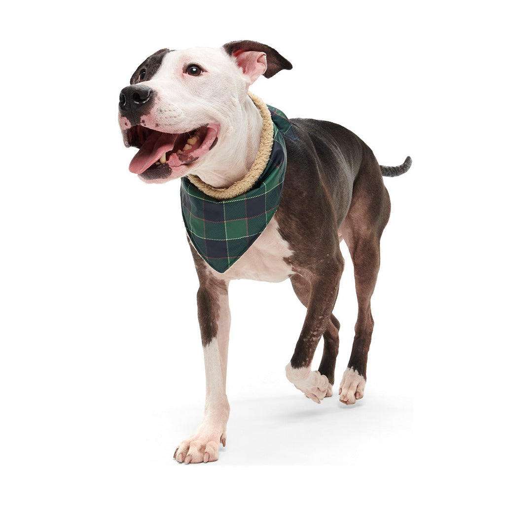 Plaid To The Bone Dog Bandana