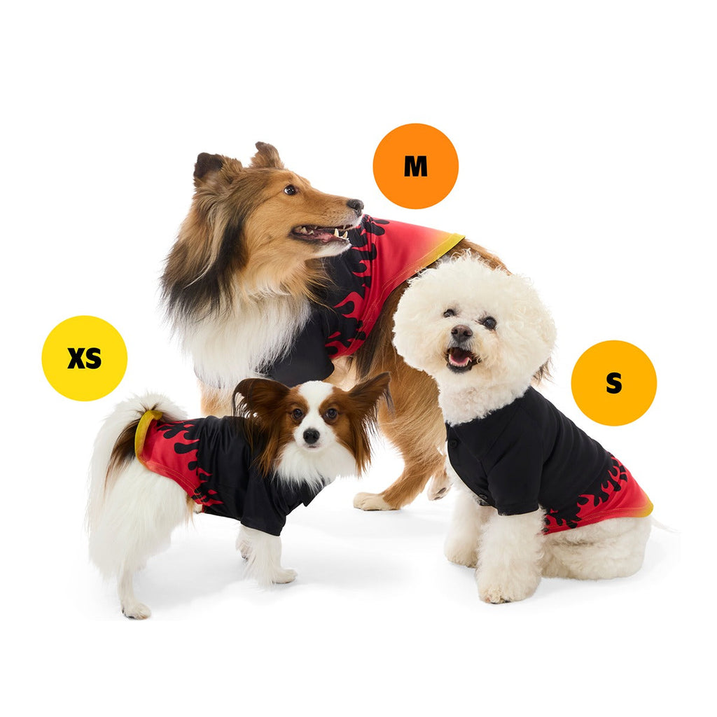 FlavortownTM Wearable Bundle