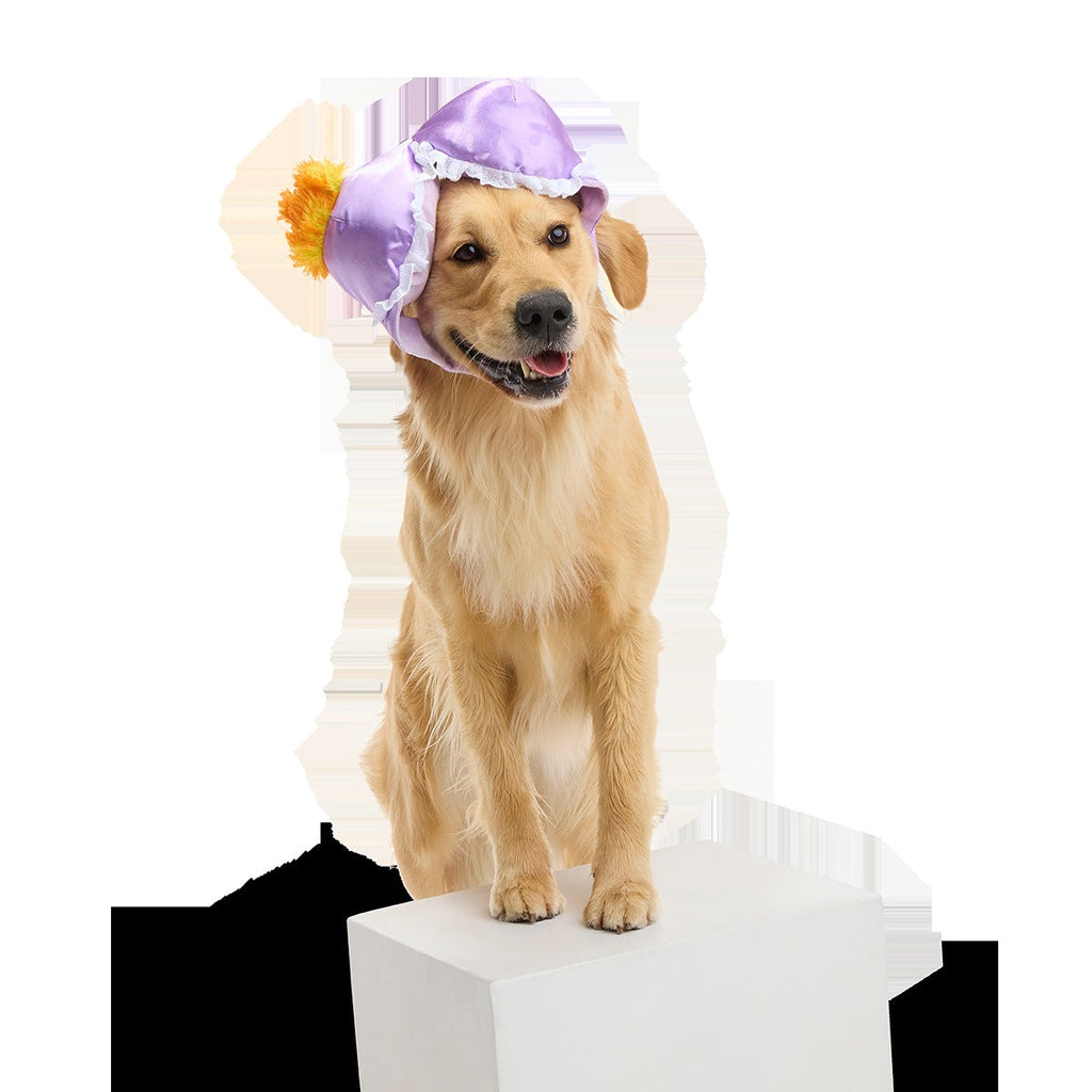 Bite the Patriarchy Plush Tug Dog Toy