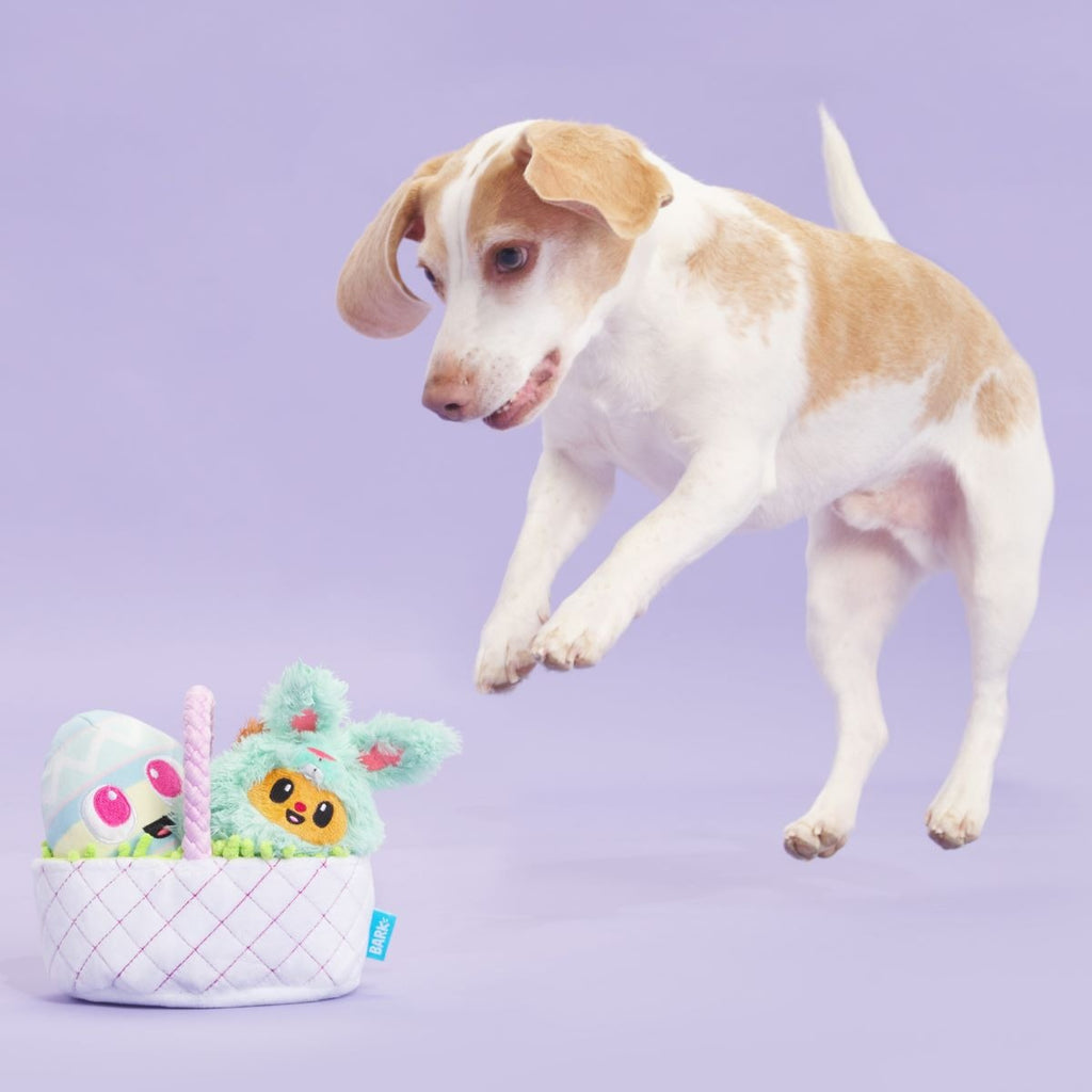 BARK Easter Bundle Plush Multi-Part + Tug + Enrichment Dog Toy