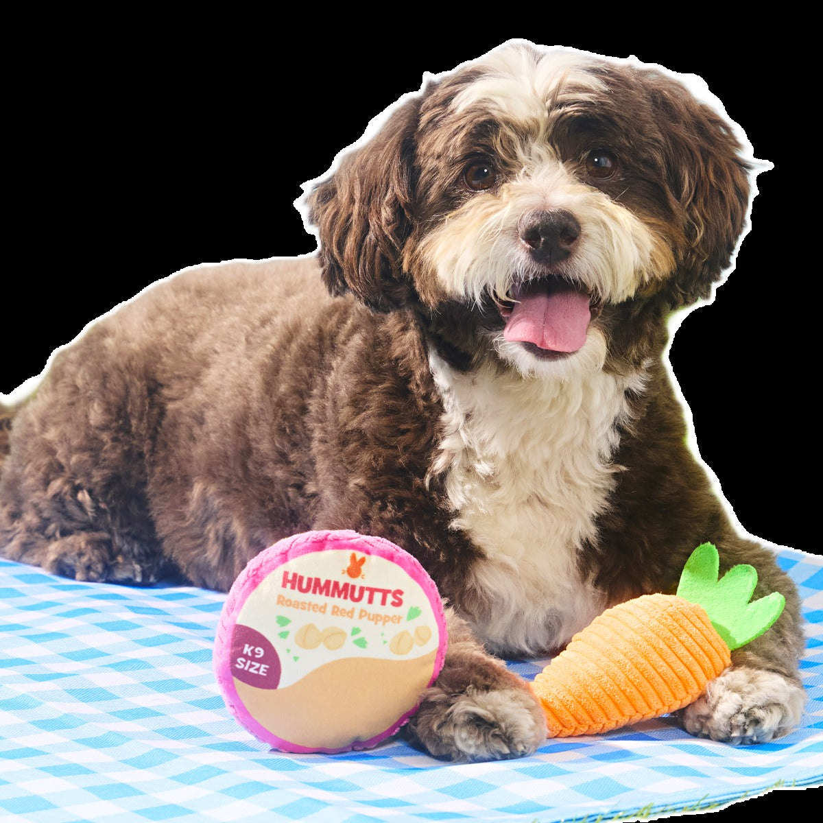 Carrot & Hummutts Plush Multi-Part Dog Toy