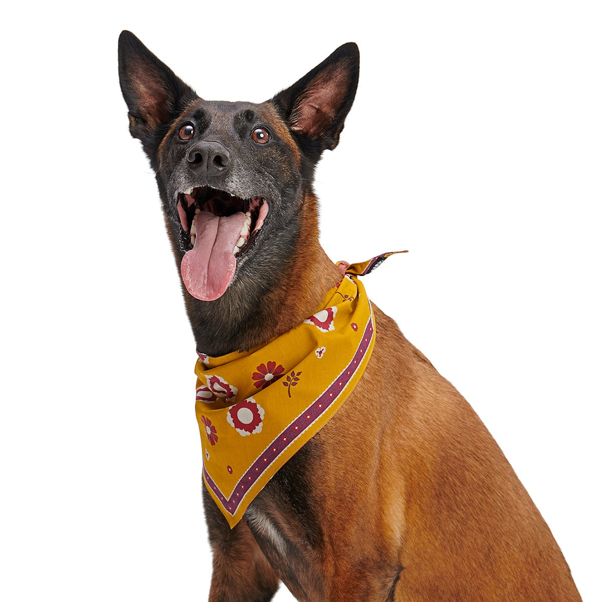 Fall Reversible Dog Bandana