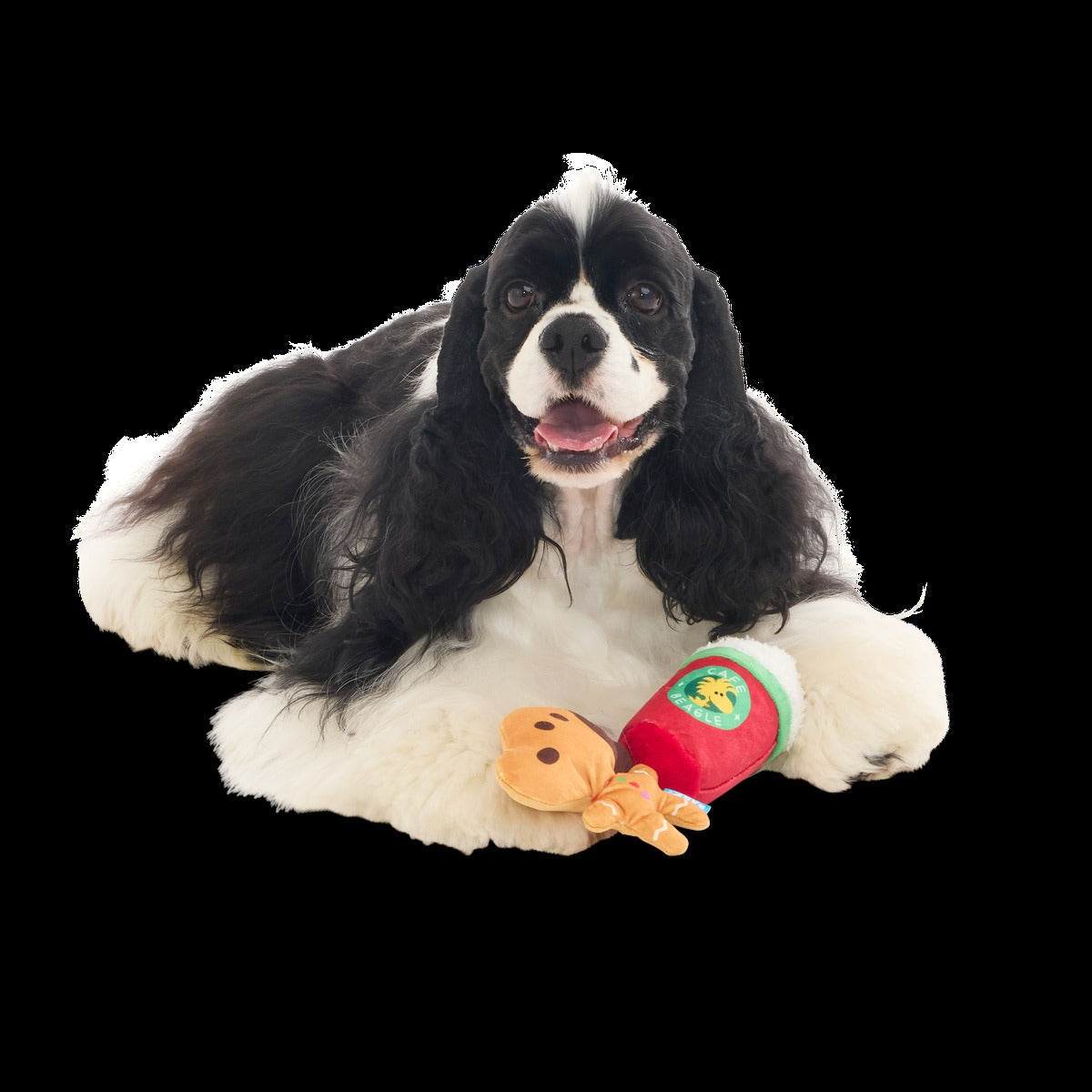 Gingersnoop Latte Multi Part Plush Dog Toy