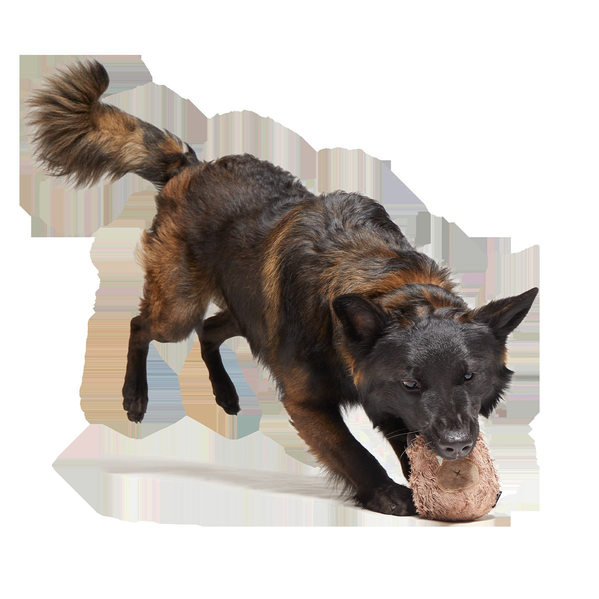 Hairwolf Super Chewer Durable 2-in-1 + Enrichment Dog Toy