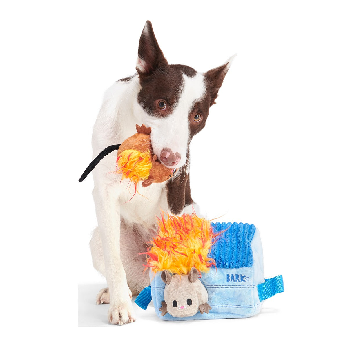 Hide n' Squeak Dumpster Fire Plush Multi-Part + Enrichment Dog Toy