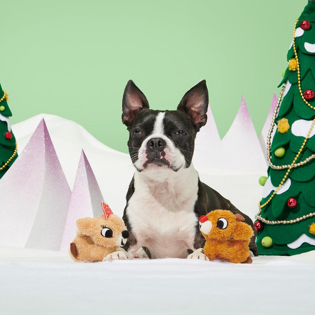 Rudolph® & ClariceTM Plush Multi-Part Dog Toy