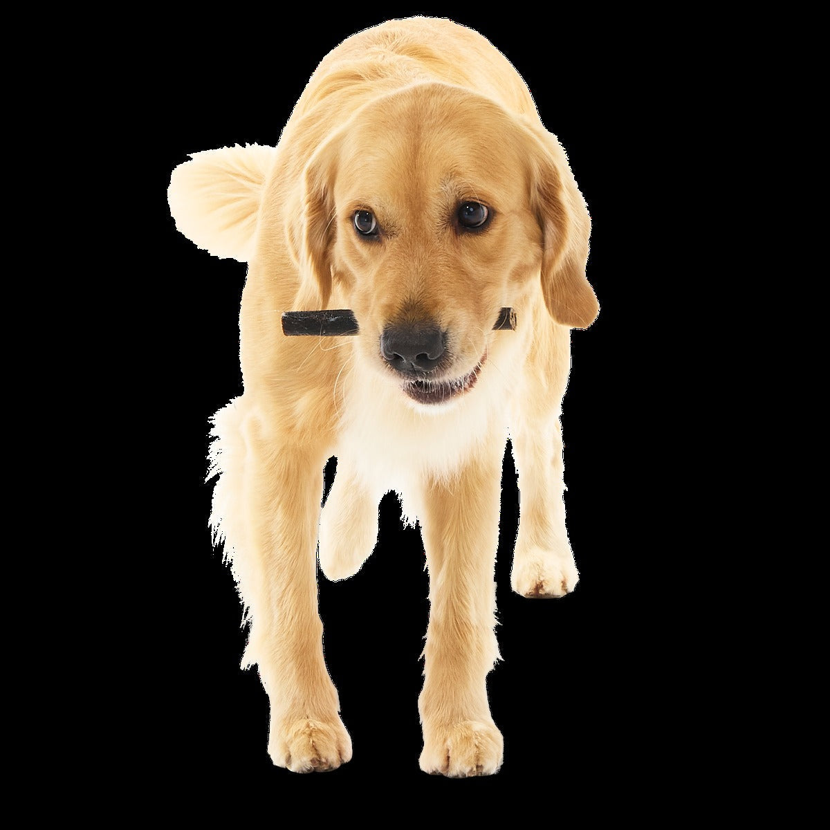 Beef Collagen Dog Chews, 5 Ct