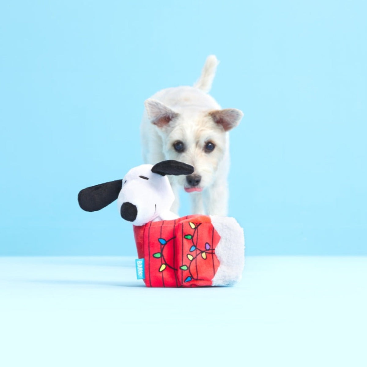 Doghouse Snoopy Plush Multi-Part Dog Toy