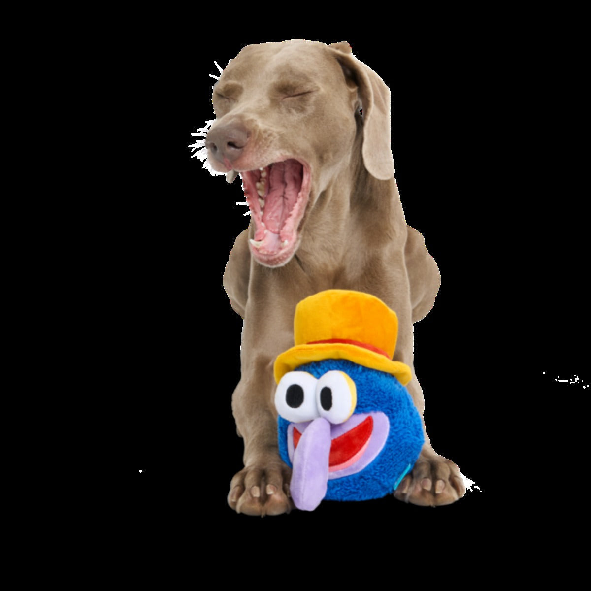 Going, Going, Gonzo Plush Dog Toy