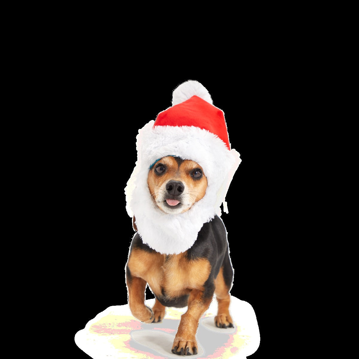 Here Comes Santa Paws Plush Wearable Tug Dog Toy
