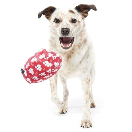 White Smellephant Durable Super Chewer 2-in-1 Rip and Reveal Dog Toy