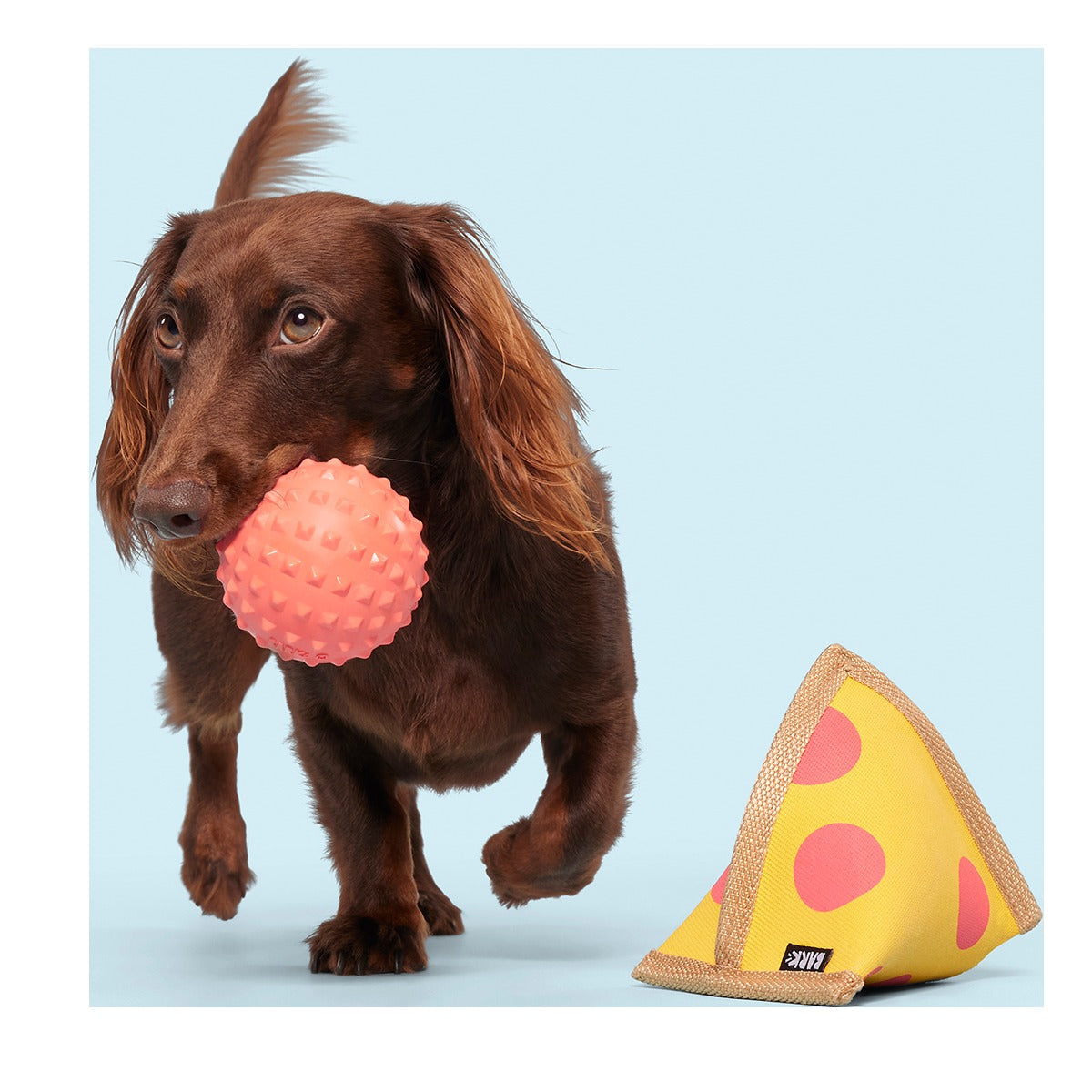 Lil Squeaker's Pizza Super Chewer Durable 2-in-1 Fetch Dog Toy