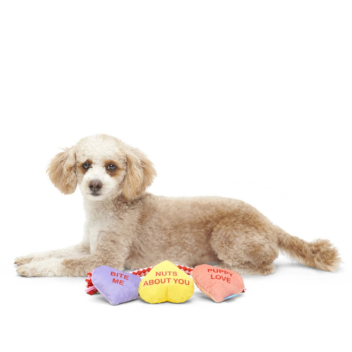 Tuggin' Heart Strings Plush Tug Dog Toy