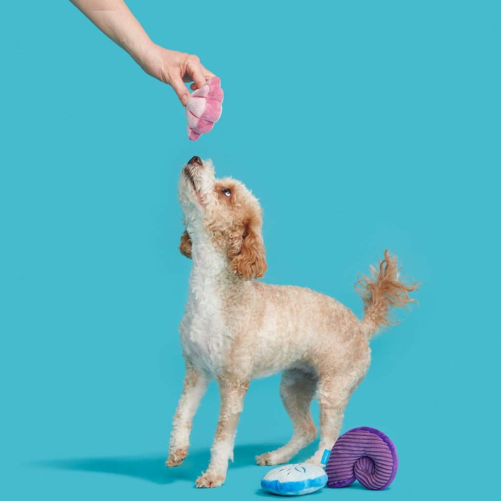 Fetchin' Squeakshells Plush Multi-Part Dog Toy