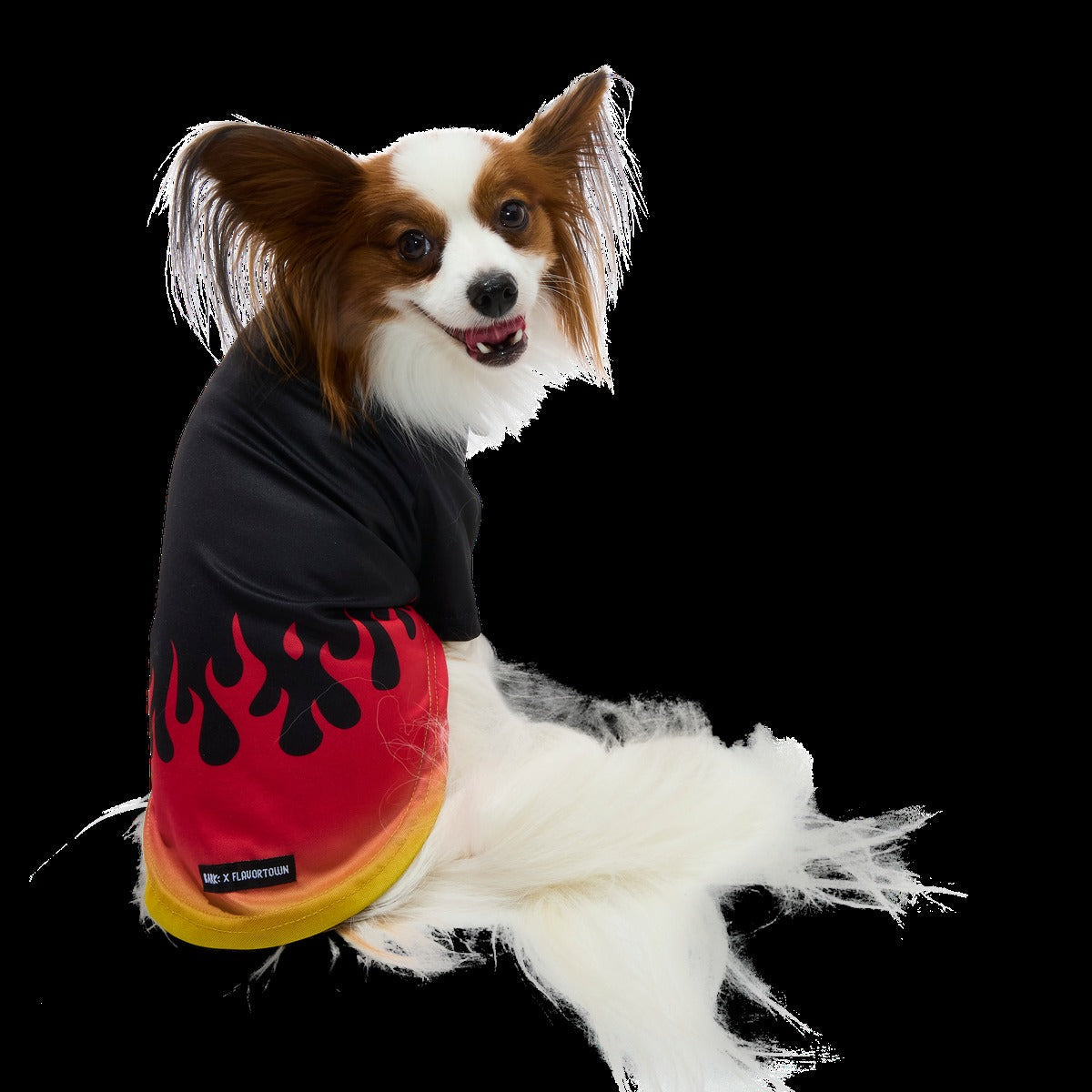 Flame Broiled Button-Down Dog Shirt
