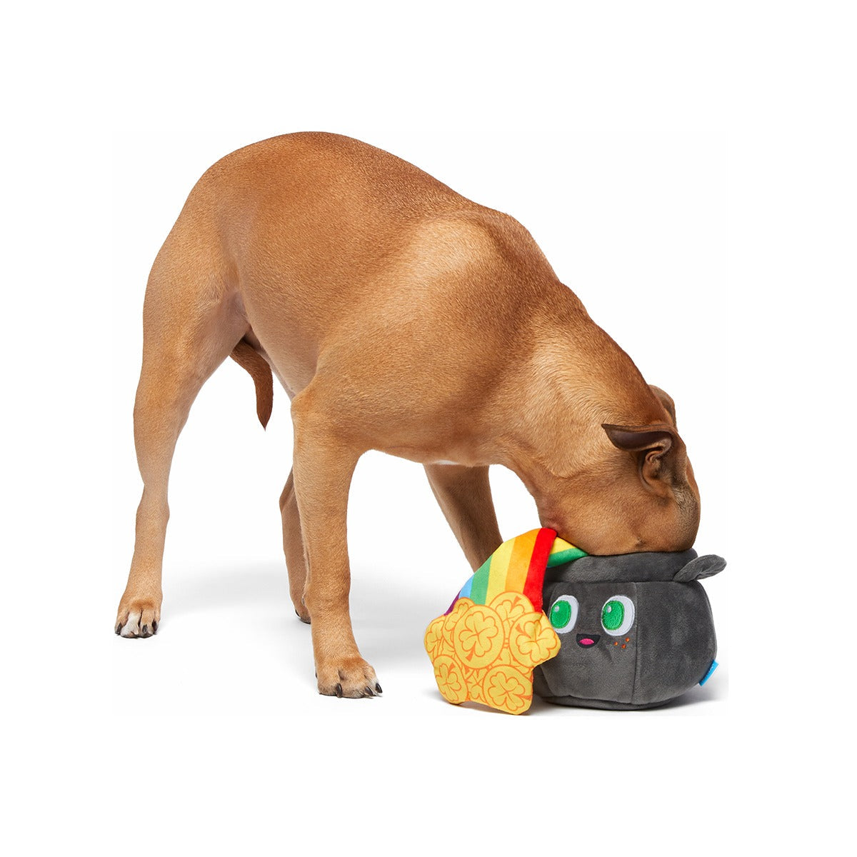 St. Pup's Pot o' Gold Plush Tug + Enrichment Dog Toy