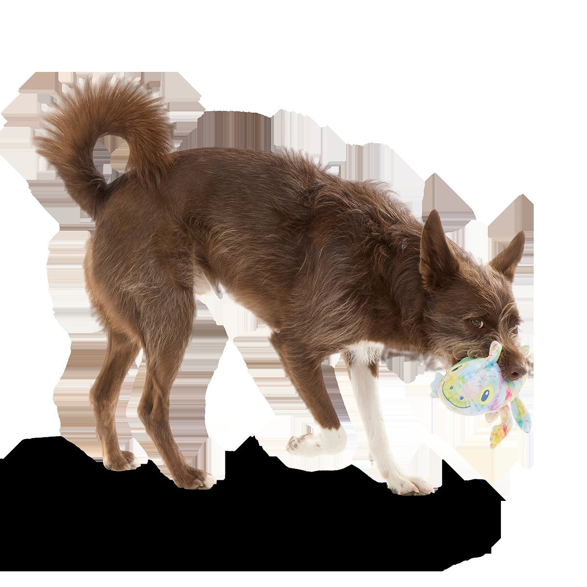 The Lizard King Plush Tug Dog Toy